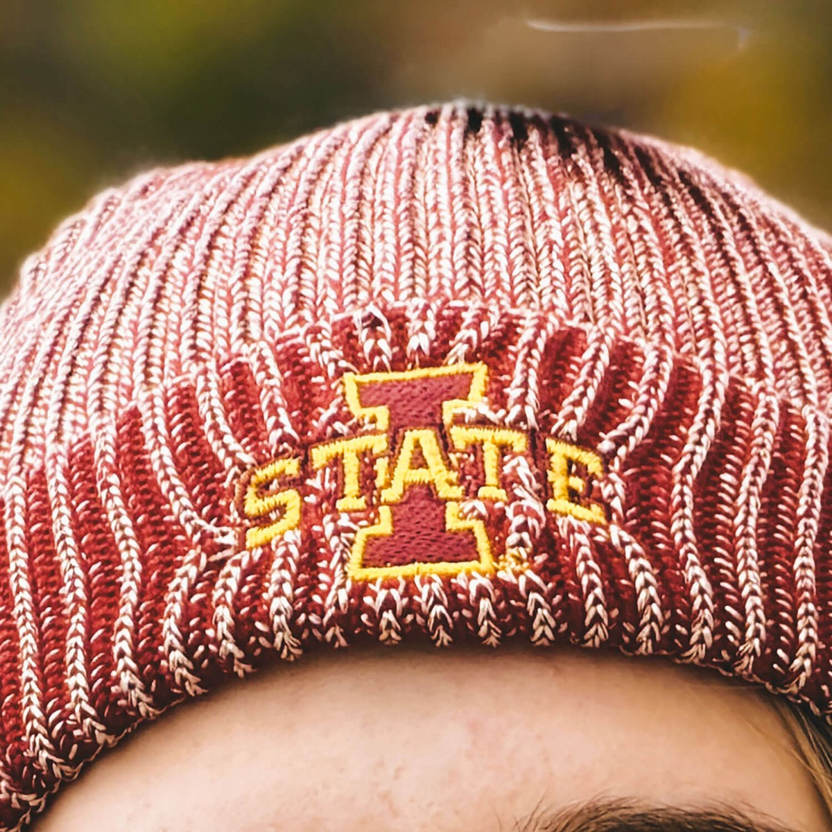 ZooZatz Unisex I-State Cardinal Beanie design close up